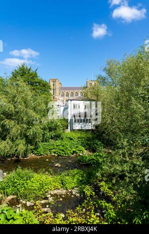 Côté sud de la cathédrale de Ripon en face de la rivière Skeld depuis Bondgate Green Road, Ripon City, North Yorkshire, Angleterre, Royaume-Uni Banque D'Images