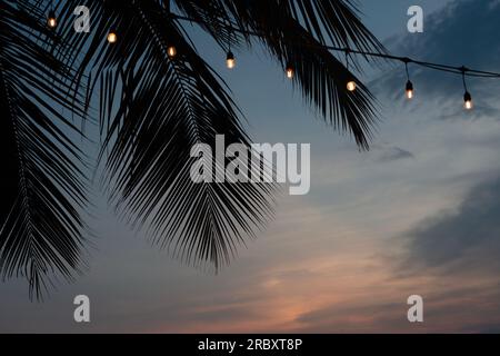 Ampoules vintage sur les cocotiers par l'atmosphère de soirée de plage Banque D'Images