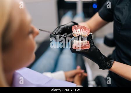 Gros plan recadré d'un orthodontiste méconnaissable dans des gants en caoutchouc montrant des mâchoires humaines artificielles avec des appareils dentaires pour la correction des dents chez la femme Banque D'Images