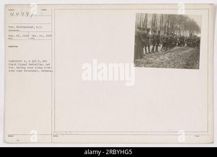 Les soldats des compagnies A, B et C du 2e bataillon de transmissions de terrain de la 1e division prennent un repas le long de la route près de Neuhausel, en Allemagne. La photographie a été prise le 26 février 1919 et reçue le 14 décembre 1918. L'image fait partie de la collection numérotée 111-SC-40997 et représente le Pvt Brotherhood de Caroline du Sud. Banque D'Images