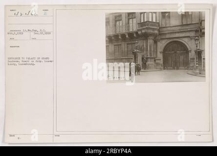 Entrée au Palais de la Grande-Duchesse à Luxembourg, Luxembourg. La photographie, prise par le lieutenant Wm. Fox le 1 mars 1919, montre un garde en service. L'image fait partie d'une collection intitulée « photographies des activités militaires américaines pendant la première Guerre mondiale ». Banque D'Images