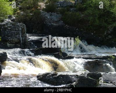 Les chutes de Rogie sont une série de chutes d'eau sur la Black Water, une rivière à Easter Ross dans les Highlands de l'Écosse. Banque D'Images