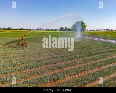 Système d'irrigation de champ avec sprinkleur et sprinkleur mobile dans l'agriculture, crise climatique en Allemagne Banque D'Images