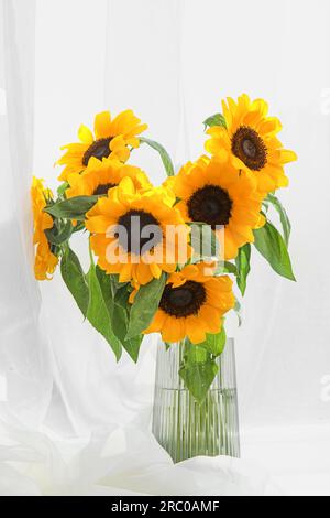 Vase avec tournesols sur le rebord de la fenêtre dans la chambre Banque D'Images