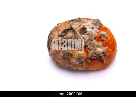 Tomates pourries sur un sol isolé blanc Banque D'Images