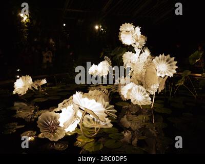 Ethereal White Persian Pond, 2018, par Dale Chihuly, illuminé dans le cadre de l'exposition Chihuly Nights aux Kew Gardens, le 4 octobre 2019 Banque D'Images