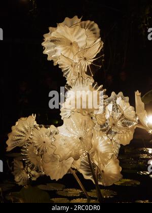 Ethereal White Persian Pond, 2018, par Dale Chihuly, illuminé dans le cadre de l'exposition Chihuly Nights aux Kew Gardens, le 4 octobre 2019 Banque D'Images