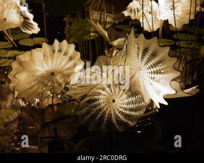 Ethereal White Persian Pond, 2018, par Dale Chihuly, illuminé dans le cadre de l'exposition Chihuly Nights aux Kew Gardens, le 4 octobre 2019 Banque D'Images