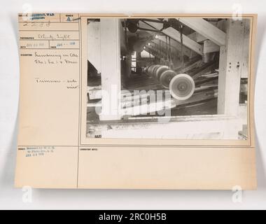 Soldats engagés dans des activités d'exploitation forestière en Alabama, en Floride, en Louisiane et au Mississippi pendant la première Guerre mondiale. La photographie montre la vue latérale des coupe-bordures travaillant sur le bois. L'image a été prise en janvier 1918 et diffusée par le War Office of Defense à la Division photo. Banque D'Images