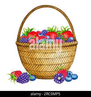 Panier avec baies.fraise, framboise, mûre, myrtille. Composition aquarelle. Clipart réaliste pour emballages, cartes postales, menus, logos, fa Banque D'Images