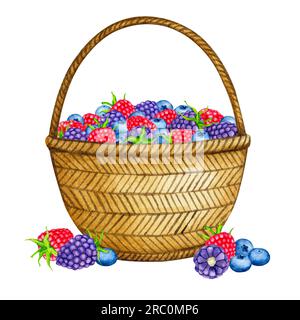 Panier avec des baies sauvages. Composition d'aquarelle framboise, mûre, myrtille. Clipart réaliste pour l'emballage, cartes postales, menus, logos, tissu pr Banque D'Images