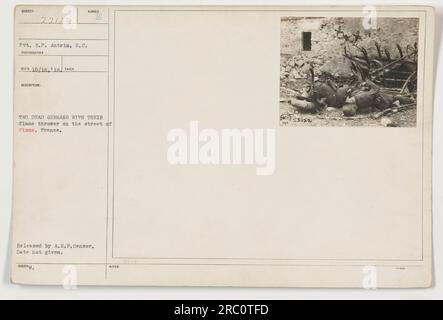 Image représentant deux soldats allemands morts, peut-être tués par un soldat américain identifié comme étant le VP R.P. Antrim, à Fisme, France pendant la première Guerre mondiale Les soldats avaient un lance-flammes en leur possession. La photographie a été prise par un photographe inconnu le 18 octobre 1918, et a été publiée par le censeur de l'A.E.P. La date de l'incident est inconnue. Banque D'Images