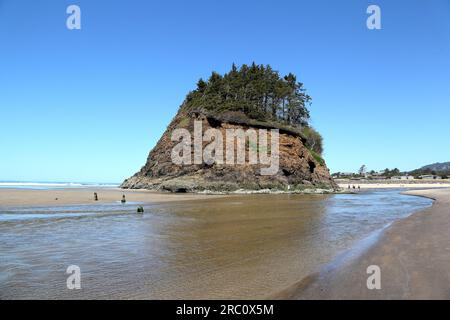 Le long de la côte de l'Oregon : forêt fantôme de Neskowin sur la plage de Neskowin - vestiges d'épinettes de sitka coulés sous l'eau après un tremblement de terre Banque D'Images