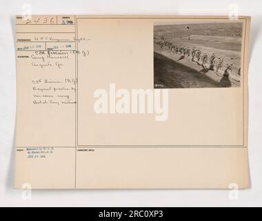 Les soldats de la 28e division au camp Hancock à Augusta, GA participent à des exercices de baïonnette supervisés par des sous-officiers. Cette formation adopte les techniques de l'armée britannique. La photographie a été prise par Sr H.P. KINGSMORE le 25 janvier 1918, et publié à la Division photo le 26 janvier 1918. Banque D'Images