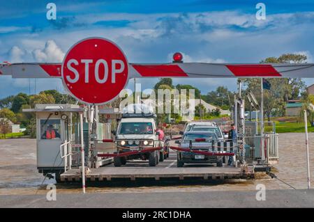 Car ferry traversant le fleuve Murray à Mannum en Australie du Sud Banque D'Images