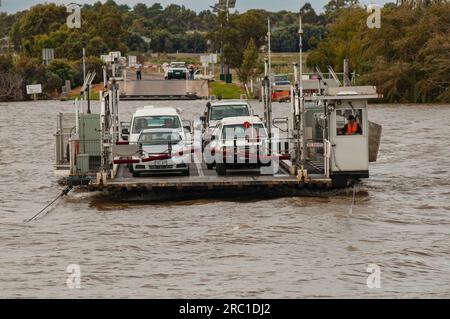 Car ferry traversant le fleuve Murray à Mannum en Australie du Sud Banque D'Images