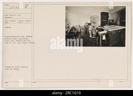 Sergent Reyden, S.C., capitaine H.W. Cattell, et Pvt. 1st Cl. V.P. Joe capturé en septembre 1918 dans la salle d'histopathologie du Département médical central. Laboratoire à Dijon, France. La photographie a été prise par le photographe décembre 2,1918 ; cependant, la date à laquelle elle a été passée par le censeur de l'A.E.F. est inconnue. Banque D'Images