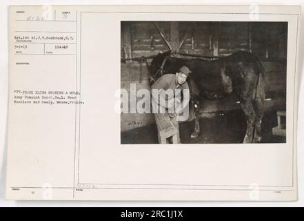 Le soldat Frank Kling a vu ferrer une mule au dépôt de remontage de l'armée n ° 1 près de Montiers sur Sauly, Meuse, France. Cette image a été prise par le sergent 1st Cl. J. T. Seabrook le 3-1-19 et reçu le 12-14-18. La photographie est numérotée 41241 dans la série, avec la pièce d'identité correspondante étant 111-SC-41241. Banque D'Images