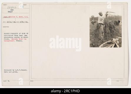 Paysans français travaillant sur des terres agricoles réoccupées dans le bois de Belleau pendant la première Guerre mondiale. Un homme est vu aiguiser une faux dans un champ de blé avec le bois Belleau visible en arrière-plan. Cette photographie, numérotée 22932, a été prise le 30 août 1918 et a été publiée par le censeur de l'AEF. Banque D'Images