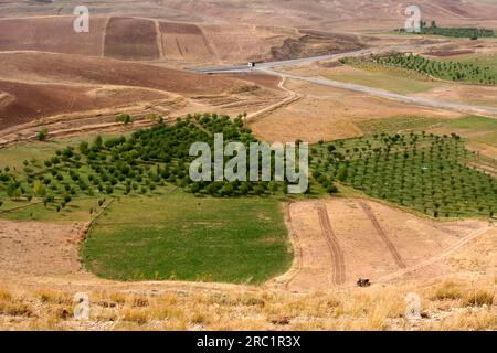 Plantations d'arbres à proximité immédiate du site du patrimoine mondial Takht-e Soleyman près de Takab, Iran Banque D'Images