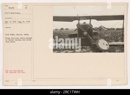 Image d'un avion naufré de Love Field à Dallas, Texas, après un atterrissage forcé à neuf miles du champ. La photographie a été prise le 21 août 1918 et est marquée comme n'étant pas destinée à la publication et pour usage officiel seulement. Banque D'Images