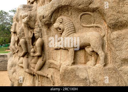 Animal sculpté mythologique sculpté sur Arjunas pénitence descente du Gange à Mahabalipuram Mamallapuram près de Chennai, Tamil Nadu, Inde du Sud Banque D'Images