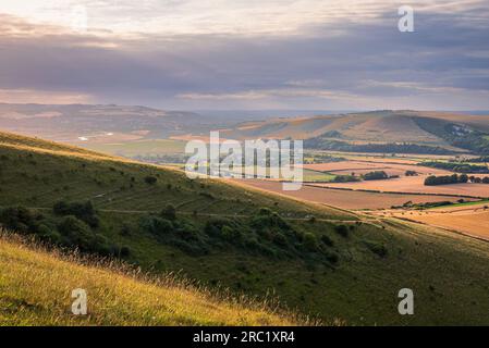 Coucher de soleil de juillet de Firle Beacon sur les descentes du sud dans l'est du Sussex sud-est de l'Angleterre Royaume-Uni Banque D'Images