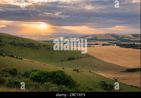 Coucher de soleil de juillet de Firle Beacon sur les descentes du sud dans l'est du Sussex sud-est de l'Angleterre Royaume-Uni Banque D'Images