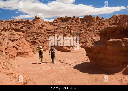 La ville oubliée, Parc National de Talampaya, province de la Rioja, Argentine, Ciudad perdida Banque D'Images