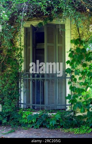 Estancia El Ombu, San Antonio de Areco, province de Buenos Aires, Argentine Banque D'Images