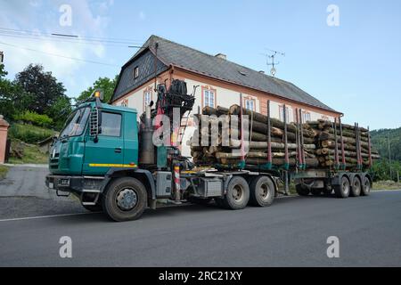 Camion lourd Tatra T815-2 TERRNO1 exploité par une entreprise forestière. Entièrement chargé avec des grumes coupées garées sur la route du village en Tchéquie Banque D'Images