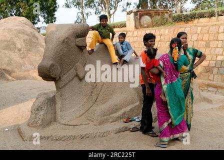 Grande pierre Nandi devant la Pancha Rathas Five Rathas, architecture monolithique taillée dans la roche datant de la fin du 7e siècle à Mahabalipuram Banque D'Images