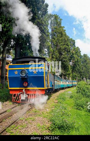 Voyage passionnant avec le train de montagne Nilgiri Mountain Railway de Ooty à Mettupalayam, Tamil Nadu, Inde du Sud, Inde, Asie. Site du patrimoine mondial de l'UNESCO Banque D'Images