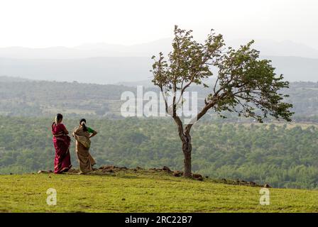 Femmes appréciant des scènes de Vibuthi colline à bokkapuram près de Masinagudi dans Nilgiris, Ooty Udhagamandalam, Tamil Nadu, Inde du Sud, Inde, Asie Banque D'Images