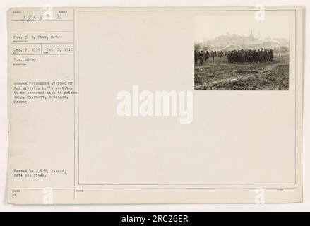 Prisonniers allemands gardés par la police militaire de la 2e division (M.P) à Exermont, Ardennes, France pendant la première Guerre mondiale. Les prisonniers attendent d'être escortés jusqu'à un camp de prisonniers. Prise par le soldat T. R. Shaw, S.C., le 2 octobre 1918. Adopté par le censeur de l'A.E.F. et reçu le 2 décembre 1918. Il y a 4 notes d'accompagnement. Banque D'Images