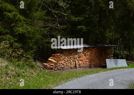 Beaucoup empilés coupent le bois de chauffage sous le toit dans la forêt Banque D'Images