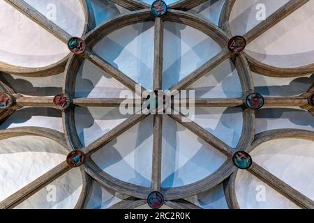 Intérieur, le plafond voûté de San Vicente à San Sebastián, Espagne. Banque D'Images