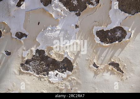 Texture beige d'un vieux mur abandonné plâtré avec une ombre de la lumière du soleil Banque D'Images