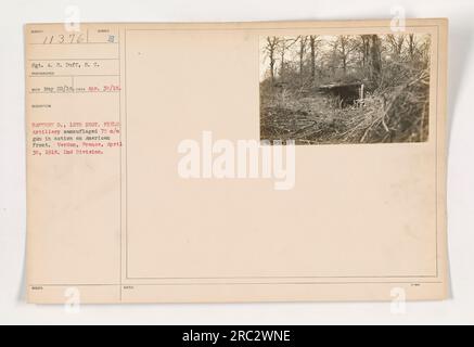 Le sergent A. C. Duff de la batterie B, 12e régiment, artillerie de campagne, est vu en train de piloter un canon camouflé de 75 mm sur le front américain à Verdun, en France. La photographie a été prise le 30 avril 1918. L'action a eu lieu pendant la première Guerre mondiale dans le cadre de la 2e division. Banque D'Images