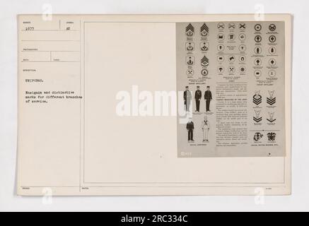 Uniformes - cette photographie (111-SC-1677) présente des insignes et des marques distinctives de différentes branches de l'armée américaine. Les spécialités comprennent l'artillerie côtière et l'uniforme naval. Les différentes branches de l'armée, ainsi que leurs insignes respectifs, sont affichés visuellement. L'image capture les badges uniques et d'autres éléments pertinents de l'identification militaire. Banque D'Images