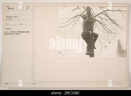 S.C. Lineman réparant les lignes de communication pendant la première Guerre mondiale. La photographie montre une vue détaillée du conducteur travaillant sur les fils. Cette image souligne le rôle crucial joué par le personnel du signal corps dans le maintien de la communication pendant la guerre. Banque D'Images