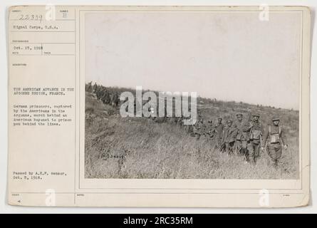 Pendant la première Guerre mondiale, les troupes américaines capturent des prisonniers allemands dans la région d'Argonne en France. Sur cette image, on peut voir des prisonniers allemands marchant derrière un soldat américain à baïonnette vers un stylo de prison situé derrière les lignes de front. Elle a été prise le 15 octobre 1918 par un photographe du signal corps, aux États-Unis La photo a ensuite été approuvée par le censeur de l'A.E.P. le 5 octobre 1918. Le numéro attribué à cette image est N64033 20334. Banque D'Images