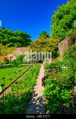 Bordures printanières colorées avec des alliums violets dans les jardins de Tintinhull House, près de Yeovil, Somerset, Angleterre, Royaume-Uni Banque D'Images