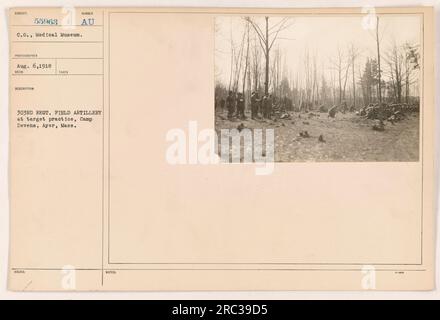 Soldats du 303rd Regiment Field Artillery s'engageant dans l'entraînement des cibles au camp Devens à Ayer, Massachusetts. Cette photographie a été prise le 6 août 1918. Banque D'Images