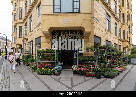 Magasin de fleurs à Frederiksberg, Danemark Banque D'Images