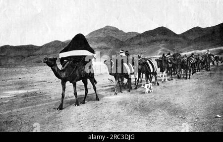 Géographie / voyage, Tunisie, personnes, caravane traversant le désert, près du golfe de Gabès, vers 1910, ADDITIONAL-RIGHTS-CLEARING-INFO-NOT-AVAILABLE Banque D'Images