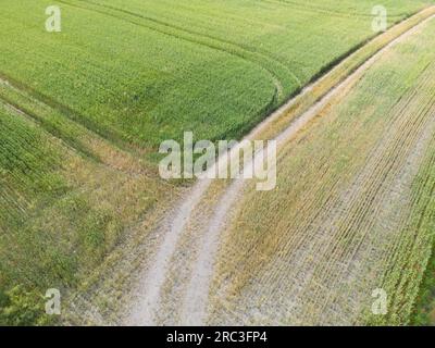 Bandes verticales de parcelles agricoles de différentes cultures. Vue aérienne prise de vue à partir d'un drone directement au-dessus du champ Banque D'Images