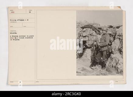 Soldat belge debout en service de garde dans une tranchée en Belgique pendant la première Guerre mondiale Le soldat est vigilant et prêt à protéger son poste. Cette photographie fait partie de la collection 111-SC-1509, représentant diverses activités militaires pendant la guerre. Banque D'Images