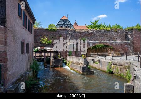 Mur d'enceinte de l'ancienne abbaye bénédictine avec Lauterkanal, Wissembourg, Alsace, France, Europe Banque D'Images