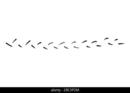 Forme de contours de grunge vectoriel. Tache noire, encre, image de pinceau à lignes. Un élément artistique sale dessiné à la main isolé sur fond blanc. Répéter le pinceau Illustration de Vecteur